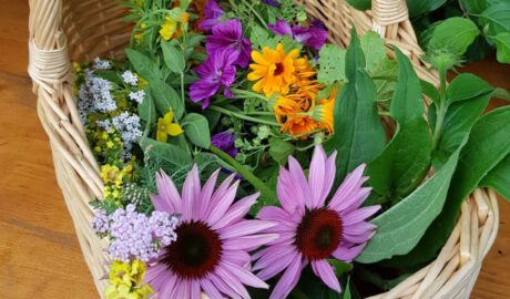 Korb mit Blüten aus dem Garten