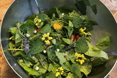 Schale mit Wildkräutersalat