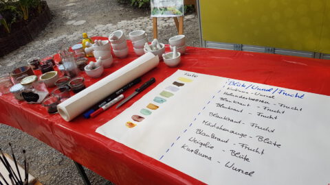 Naturfarben für Entdecker