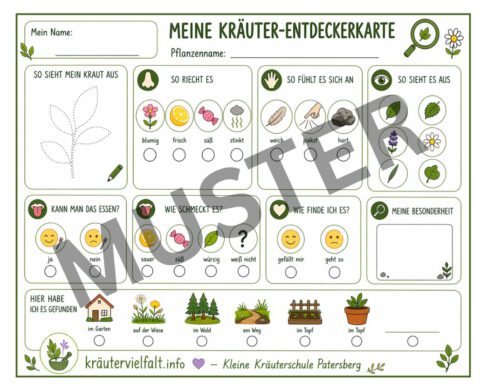 Kräuter-Entdeckerkarte