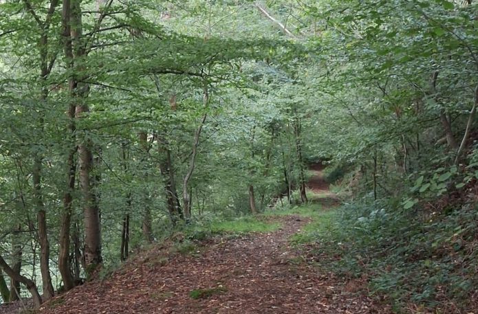 Teufelspäddche bei Patersberg