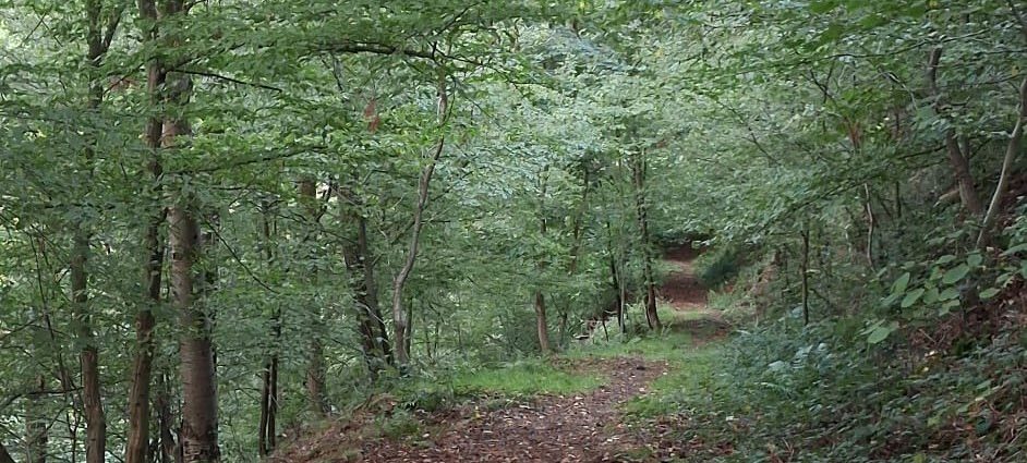 Teufelspäddche bei Patersberg