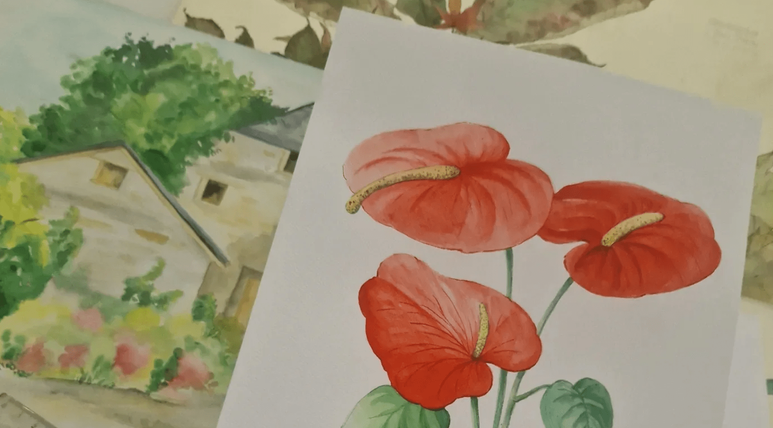 Botanisches Zeichnen